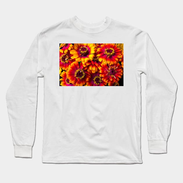 Beautiful Yellow And Red Zinnias Long Sleeve T-Shirt by photogarry